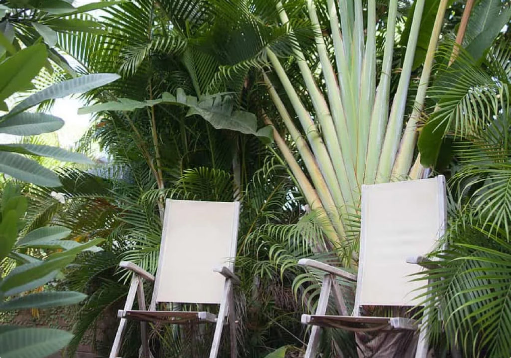 5849fd_78ff9069929b4bf085f96b249666b958-bc0ccbf6