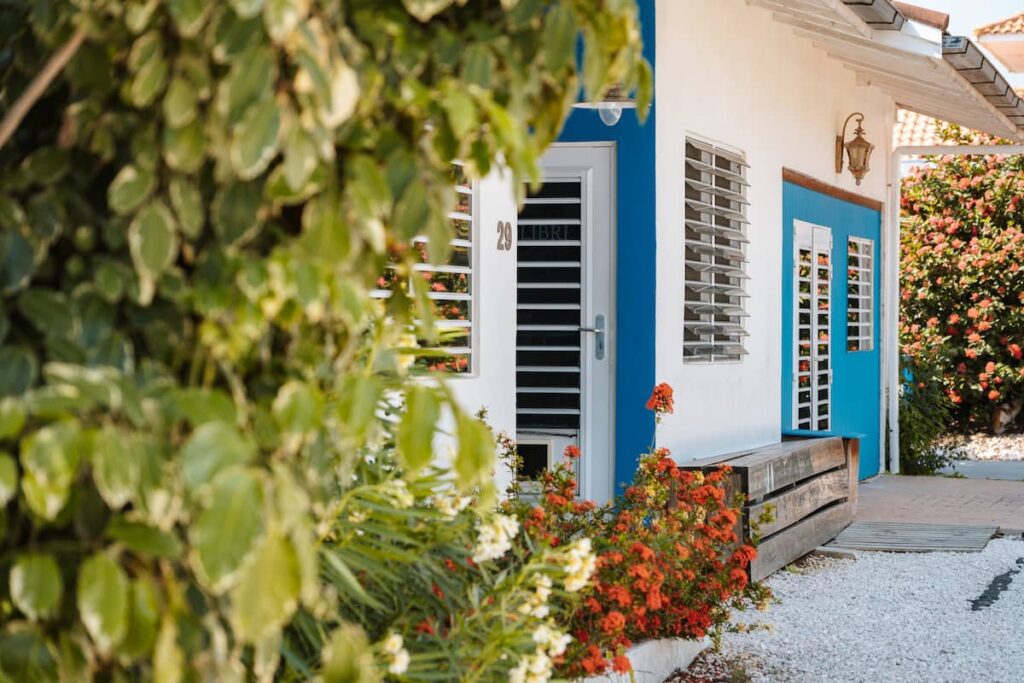 91e1a0ab-4078-4379-b910-b2eb6977eddb