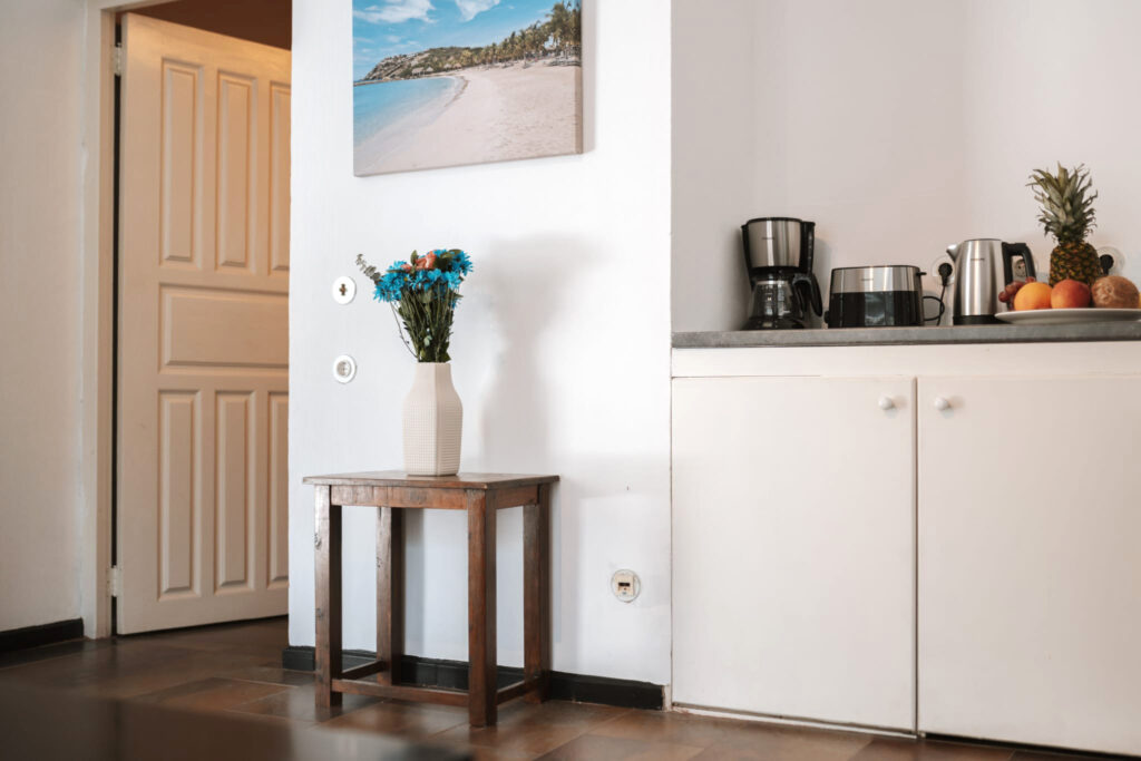 Leguan_Wohnzimmer_03